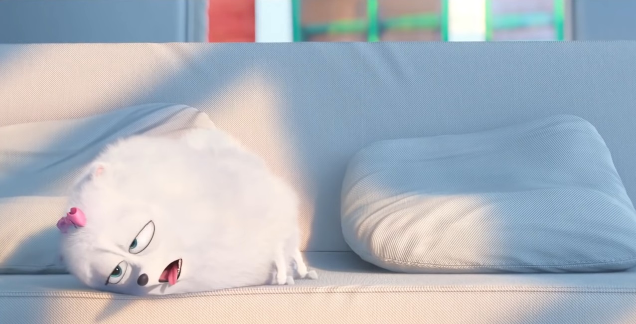 Secret Life of Pets 01