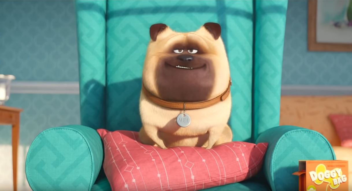 Secret Life of Pets 04