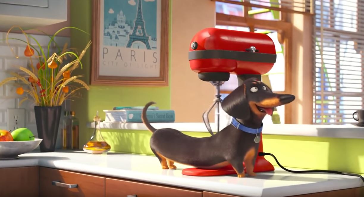 Secret Life of Pets 05