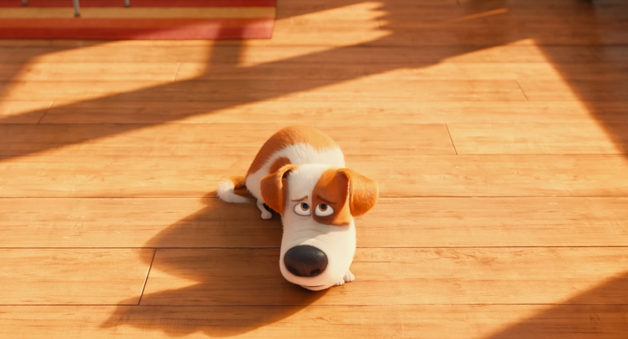 Secret Life of Pets 06