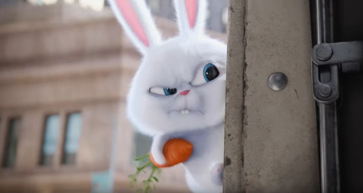 Secret Life of Pets 09