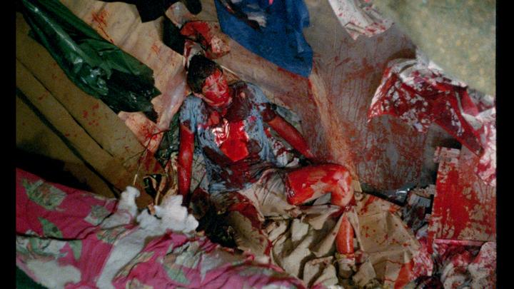 Don't Go In The Woods 13