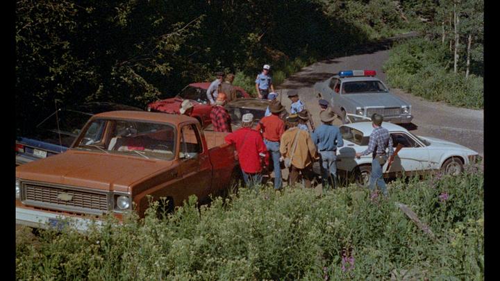 Don't Go In The Woods 14