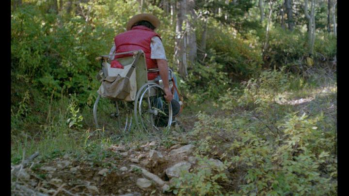 Don't Go In The Woods 15