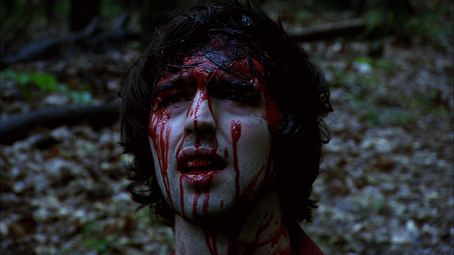 Don't Go In The Woods 19