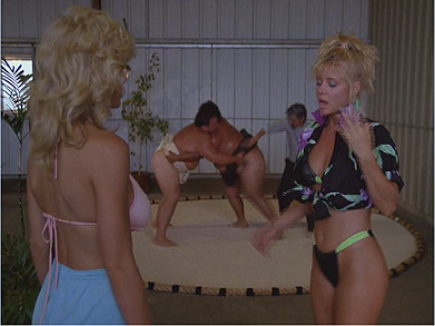 Hard Ticket to Hawaii 18