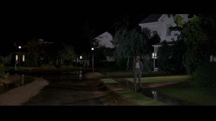 The Ghost and Mr. Chicken 10