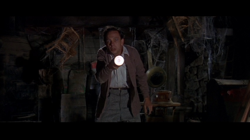 The Ghost and Mr. Chicken 14