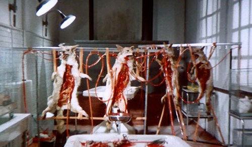 Lizard in a Woman's Skin 10